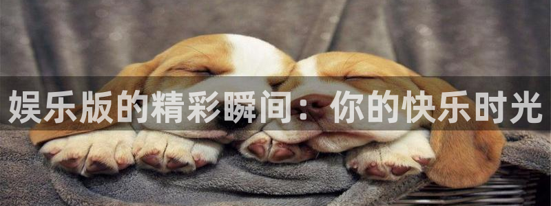 狗子28棋牌软件特色：娱乐版的精彩瞬间：你的快乐时光