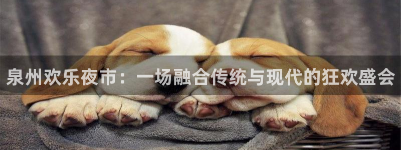 狗子28赏金国际下载
