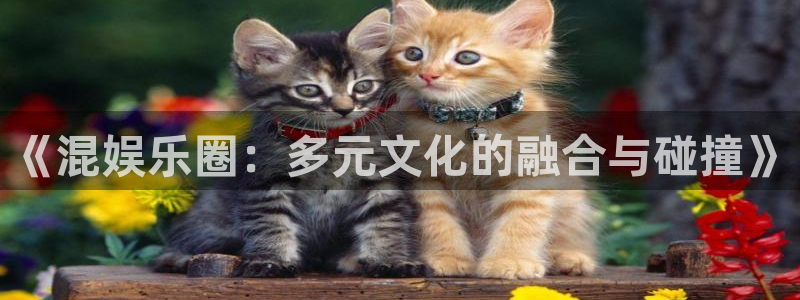狗子28.ccm官网