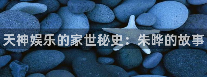 狗子28游戏官网入口注册