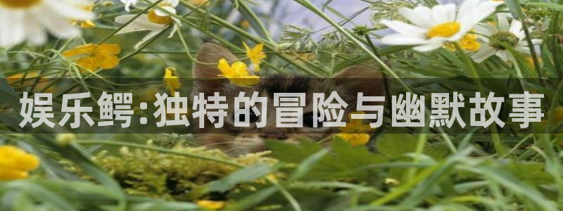 狗子28游戏