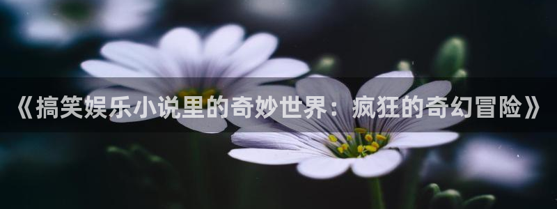 狗子28pg游戏官网版
