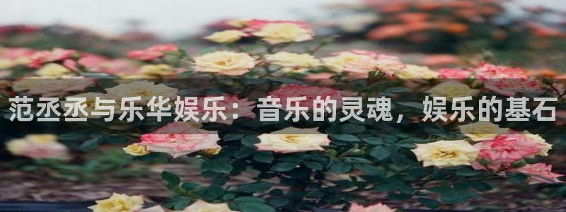 狗子28pg游戏官网版