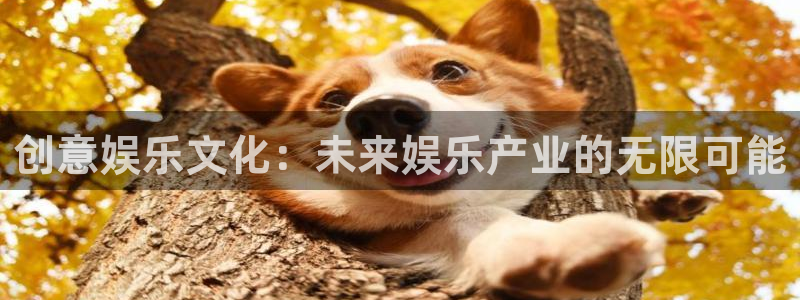 狗子28游戏：创意娱乐文化：未来娱乐产业的无限可能