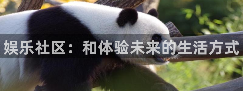 狗子28游戏官网入口注册：娱乐社区：和体验未来的生活方式