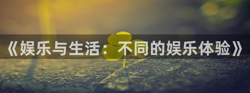 狗子28pg：《娱乐与生活：不同的娱乐体验》
